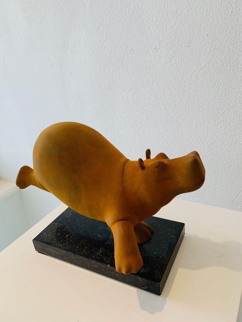 Evert den Hartog - Hippo 