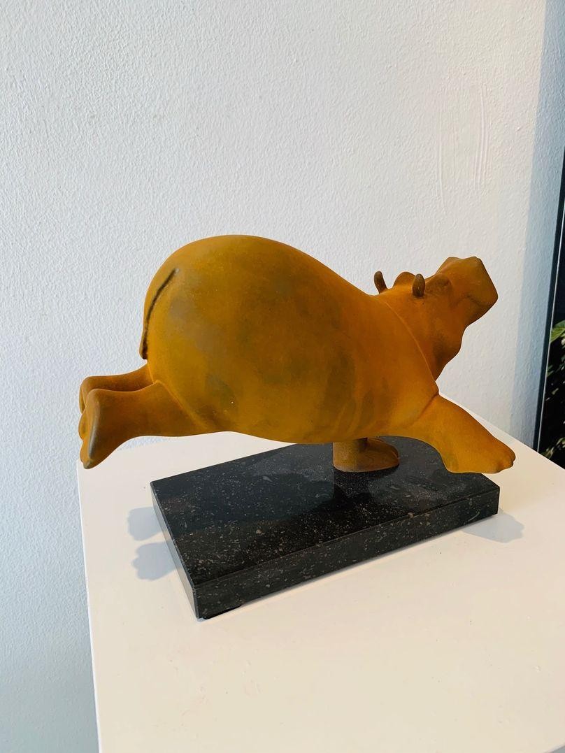 Evert den Hartog - Hippo 
