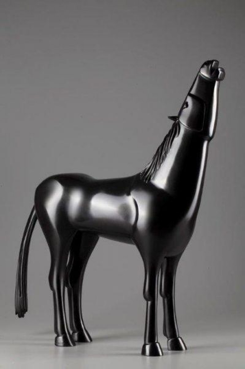 Theo Mackaay - Arabian Horse