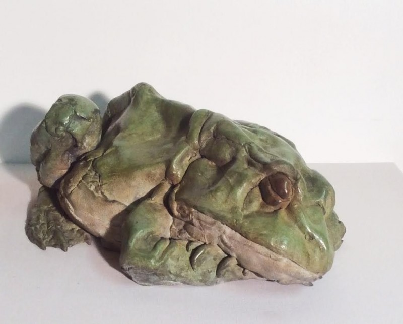 Pieter VandenDaele - Sleeping frog