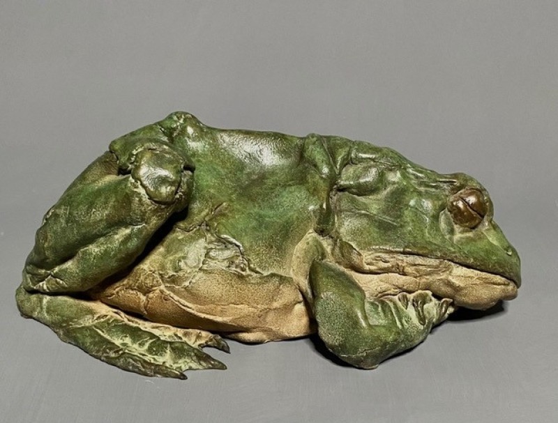Pieter VandenDaele - Sleeping Frog