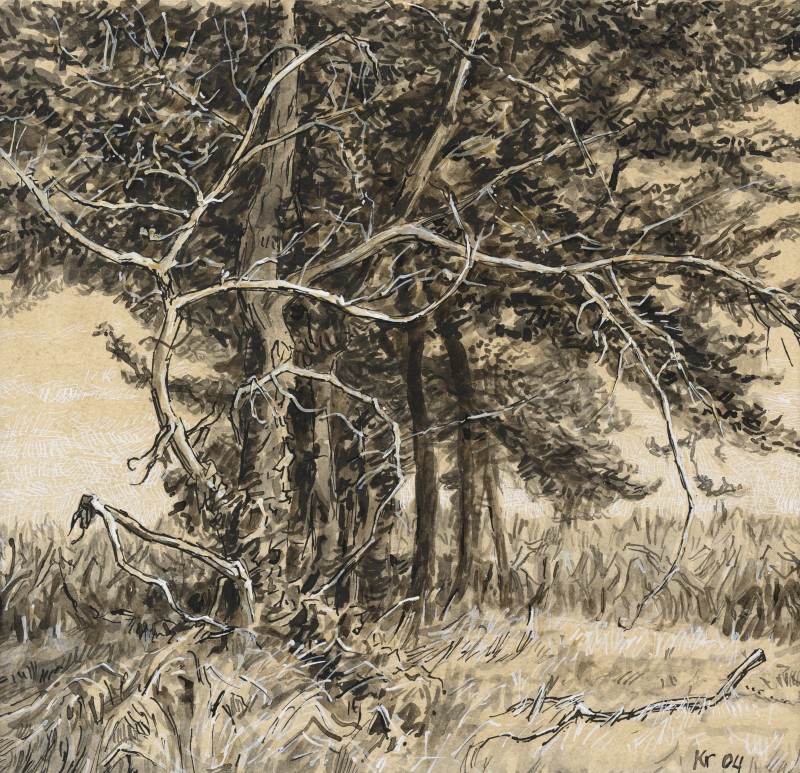  - Diederik Kraaijpoel - Dood en Leven